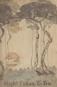 Night Fall in the Ti-Tree