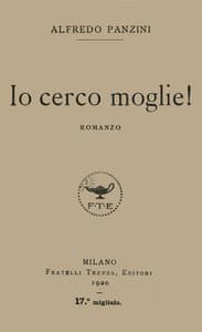 Io cerco moglie! Romanzo
