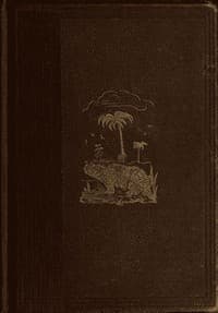 The World Before the Deluge book cover