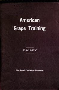 American grape training