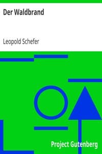 Der Waldbrand book cover