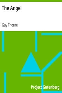The Angel book cover