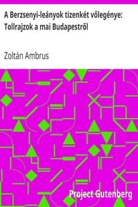 A Berzsenyi-leányok tizenkét vőlegénye: Tollrajzok a mai Budapestről book cover
