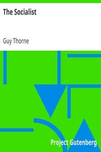 The Socialist book cover