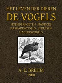 Het Leven der Dieren: Deel 2, Hoofdstuk 11 tot 14: Hoenderkoeten; Nandoes; Kasuarisvogels; Struisen; Hagedisvogels