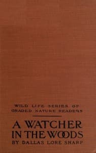 A Watcher in The Woods