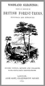 Woodland Gleanings: Being an Account of British Forest-Trees book cover