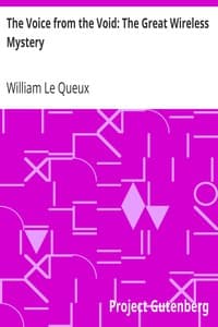 The Voice from the Void: The Great Wireless Mystery book cover