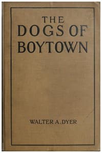The Dogs of Boytown