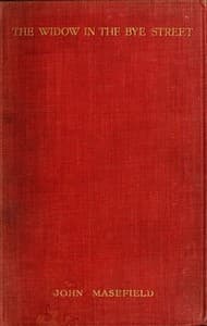 The Widow in the Bye Street book cover