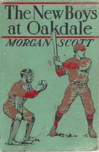 The New Boys at Oakdale book cover