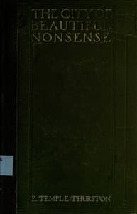 The city of beautiful nonsense book cover