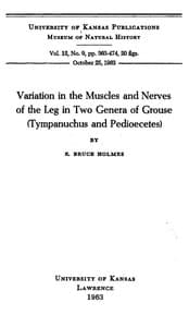Variation in the Muscles and Nerves of the Leg in Two Genera of Grouse (Tympanuchus and Pedioecetes)