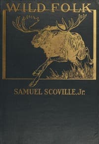 Wild Folk book cover