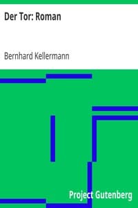Der Tor: Roman book cover