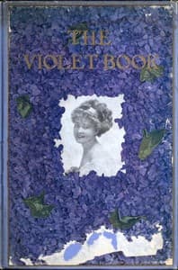 The Violet Book book cover