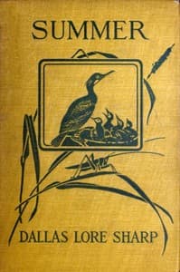 Summer book cover