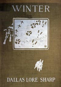 Winter book cover