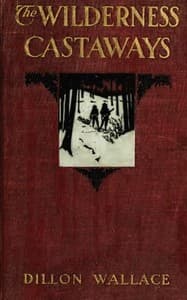 The Wilderness Castaways book cover