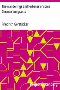 The wanderings and fortunes of some German emigrants book cover