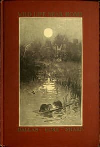 Wild Life Near Home book cover