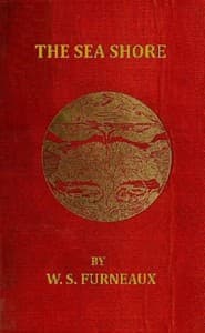 The Sea Shore book cover
