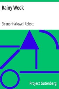 Rainy Week book cover