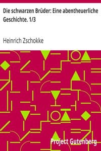 Die schwarzen Brüder: Eine abentheuerliche Geschichte. 1/3