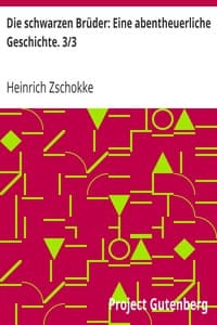 Die schwarzen Brüder: Eine abentheuerliche Geschichte. 3/3