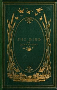 The Bird