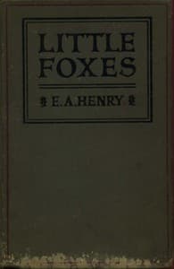 Little Foxes: Stories for Boys and Girls