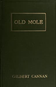 Old Mole
Being the Surprising Adventures in England of Herbert Jocelyn Beenham, M.A., Sometime Sixth-Form Master at Thrigsby Grammar School in the County of Lancaster