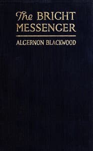 The Bright Messenger book cover