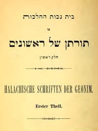 בית נכות ההלכות
או תורתן של ראשונים, חלק ראשון book cover