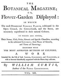 The Botanical Magazine,  Vol. 13
Or, Flower-Garden Displayed