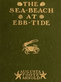 The Sea-beach at Ebb-tide
A Guide to the Study of the Seaweeds and the Lower Animal Life Found Between Tide-marks