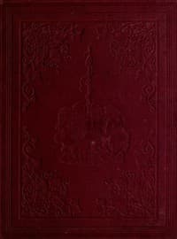 Minnie Brown; or, The Gentle Girl book cover