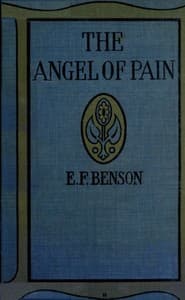 The Angel of Pain book cover