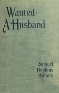 Wanted: A Husband. A Novel book cover
