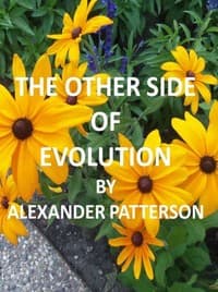 The Other Side of Evolution: Its Effects and Fallacy book cover