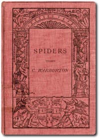 Spiders