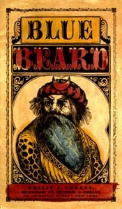 The Wonderful Story of Blue Beard, and His Last Wife book cover