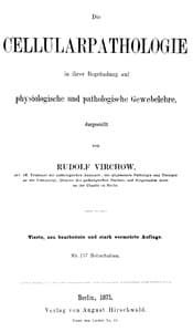 Die Cellularpathologie
in ihrer Begründung auf physiologische und pathologische Gewebelehre