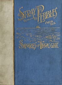 Stray Pebbles from the Shores of Thought