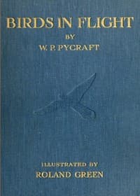 Birds in Flight book cover