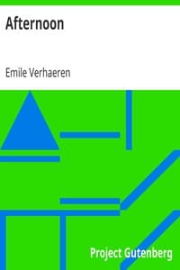 Afternoon book cover