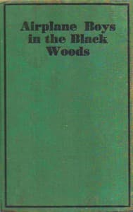 Airplane Boys in the Black Woods book cover