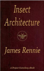 Insect Architecture book cover