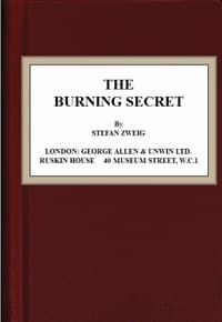 The Burning Secret book cover