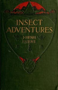 Insect Adventures